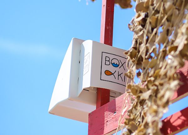What is Boxaki